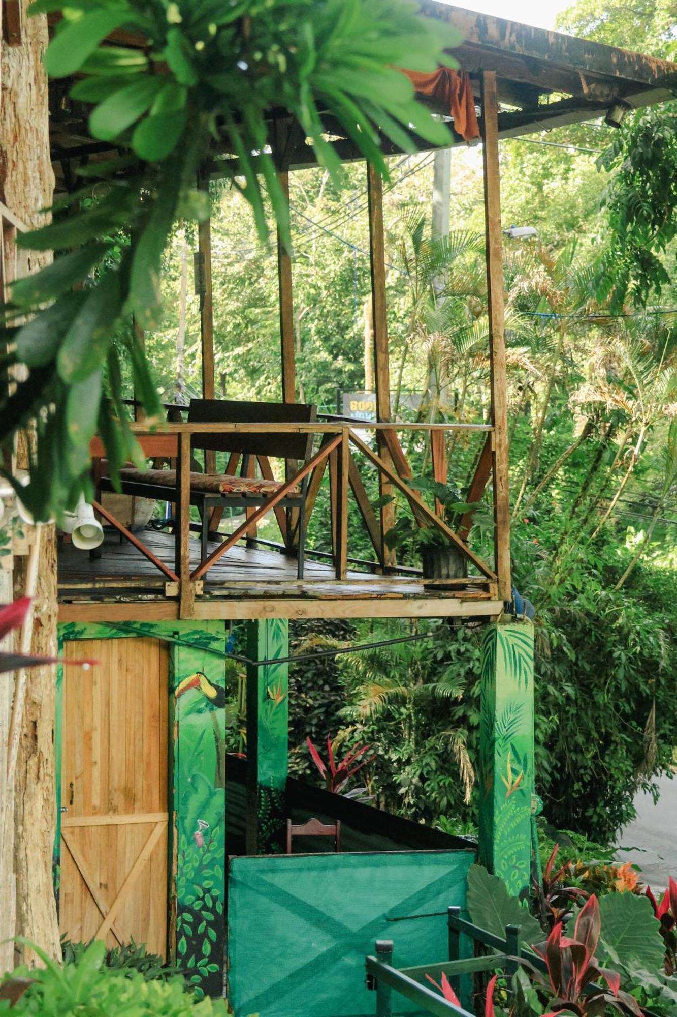 Hostel Plinio